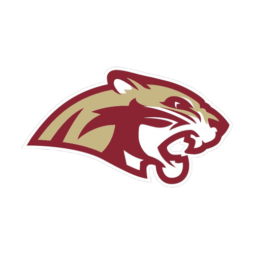 Lakeville South Football logo