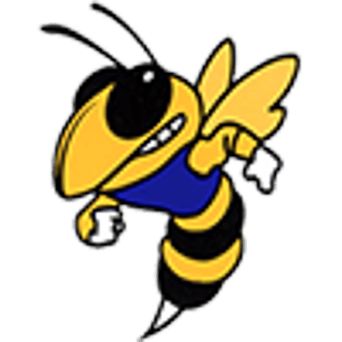 Big Lake/Princeton Boys Lacrosse logo