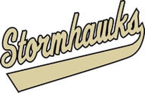 Chaska/Chanhassen Girls Ice Hockey logo