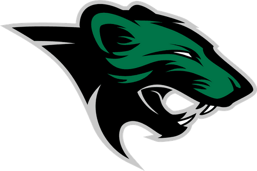 Rock Ridge Boys Basketball logo