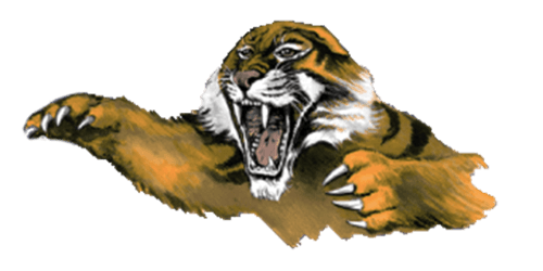 Rush City Boys Basketball logo