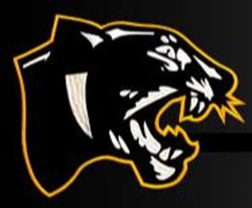 Thief River Falls/Goodridge Baseball logo