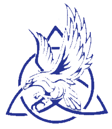 Trinity Boys Basketball logo
