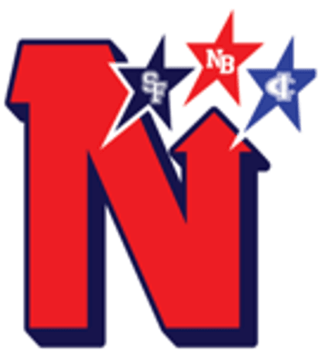 Northern Tier Girls Ice Hockey logo