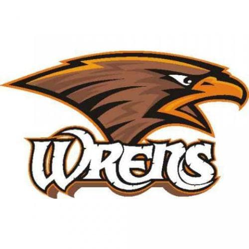Carlton/Wrenshall Girls Basketball logo