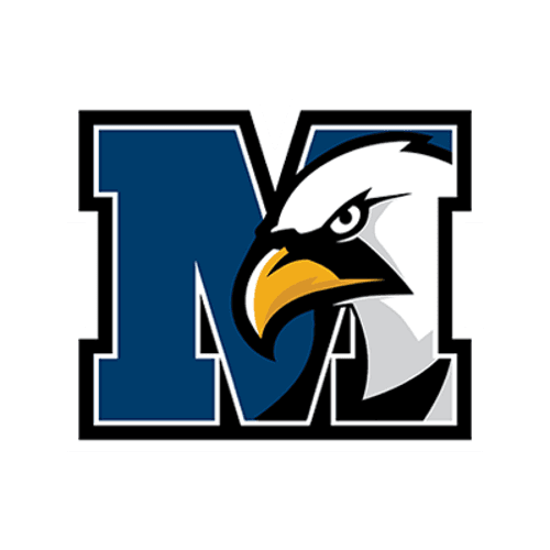 New York Mills logo