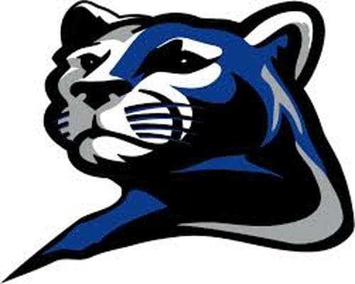 Rogers Boys Volleyball logo