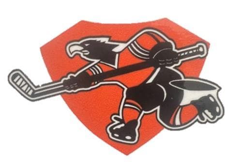 Osseo Boys Ice Hockey logo