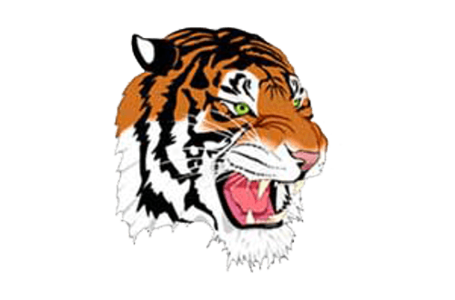 Rush City Softball logo