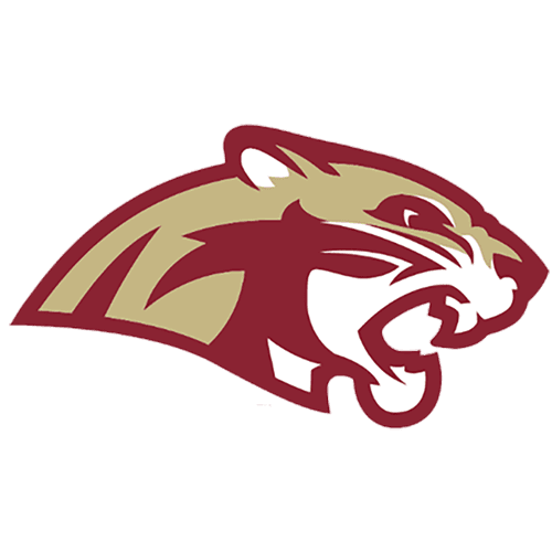 Lakeville South Boys Basketball logo