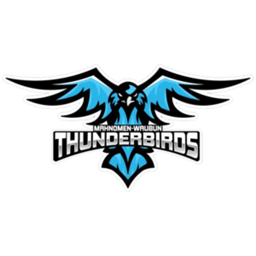 Mahnomen/Waubun Boys Basketball logo