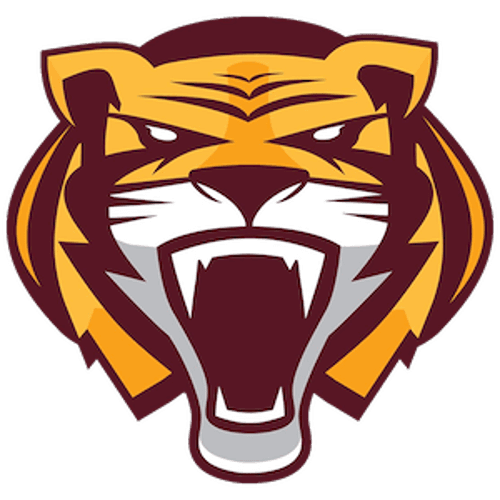 Stewartville Boys Basketball logo