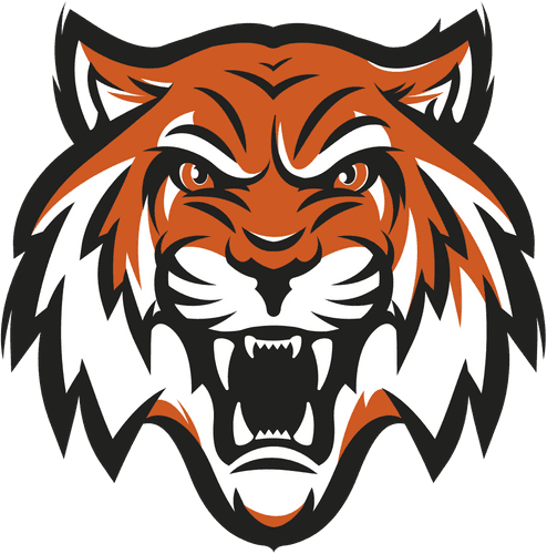 Lake City Girls Basketball logo