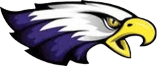 Red Wing Boys Ice Hockey logo