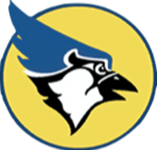 South Central Girls Ice Hockey logo