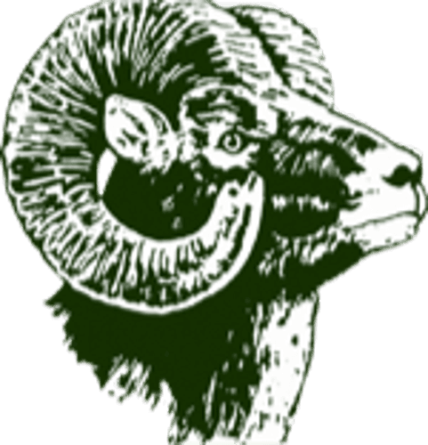 Roseau Girls Ice Hockey logo