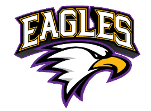 Red Lake Falls Boys Ice Hockey logo