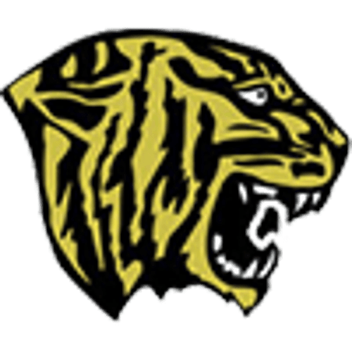 Fridley Boys Basketball logo