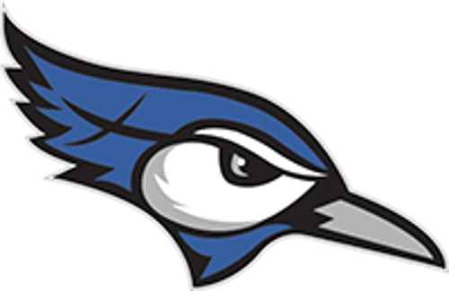 Central Minnesota Christian Boys Basketball logo
