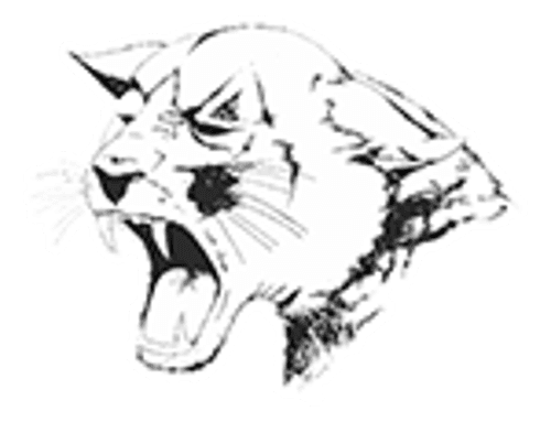 Ada-Borup Boys Basketball logo