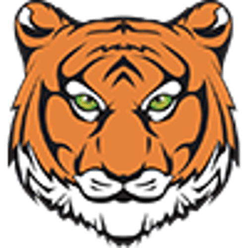 Princeton Baseball logo