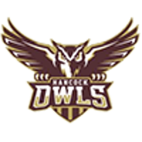 Hancock Baseball logo