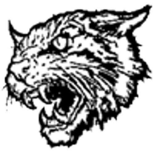 Goodhue Baseball logo
