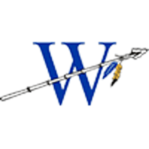 Deer River Baseball logo
