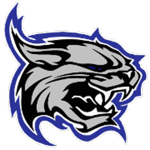 Dodge County Boys Ice Hockey logo