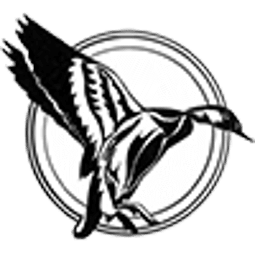 Blackduck Football logo