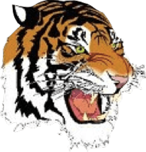 Rush City Baseball logo