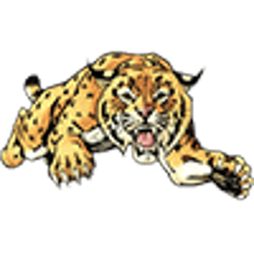 Chisago Lakes logo