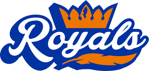 Hopkins/St. Louis Park Boys Lacrosse logo