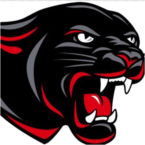 Tracy-Milroy-Balaton Girls Basketball logo