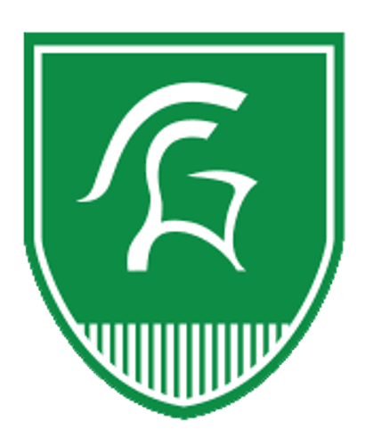 La Crescent-Hokah Boys Ice Hockey logo