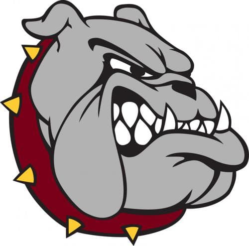 Lester Prairie Baseball logo