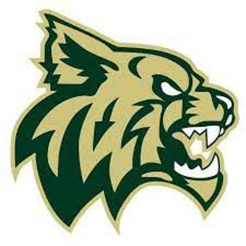 Chisago Lakes Girls Basketball logo