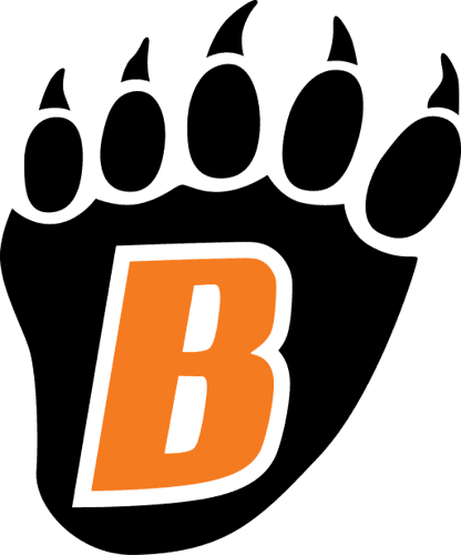 White Bear Lake Boys Volleyball logo