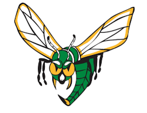 Edina Boys Volleyball logo