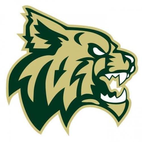 Chisago Lakes Girls Lacrosse logo