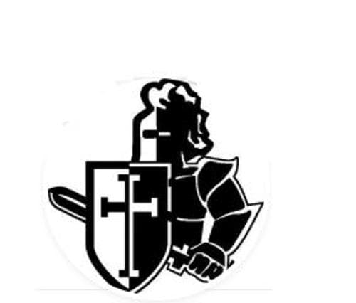 Mayer Lutheran Boys Basketball logo