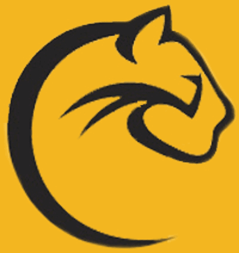 St. Paul Como Park Boys Volleyball logo