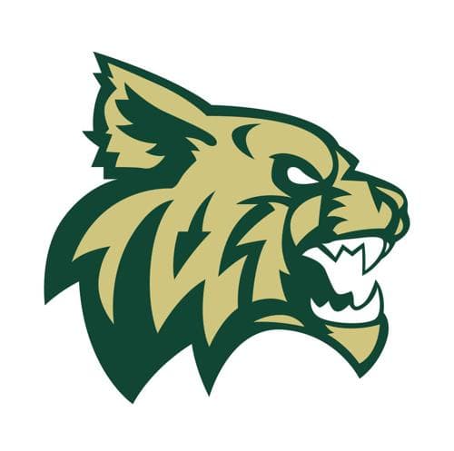 Chisago Lakes Boys Basketball logo