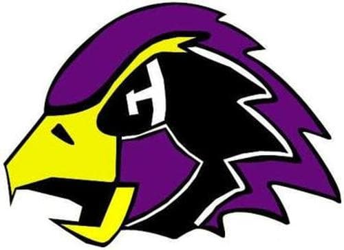 Chaska/Chanhassen Boys Volleyball logo