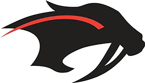 Shakopee Boys Basketball logo