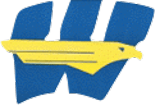 Windom Area logo