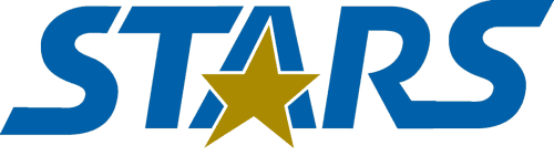 Academy of Holy Angels Baseball logo