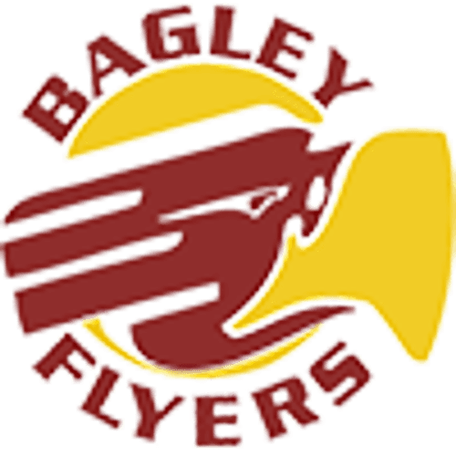 Bagley Baseball logo