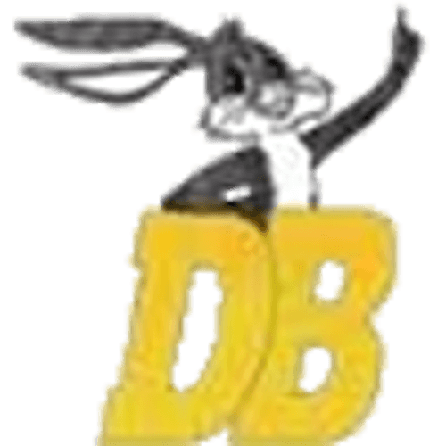 Dawson-Boyd Girls Volleyball logo