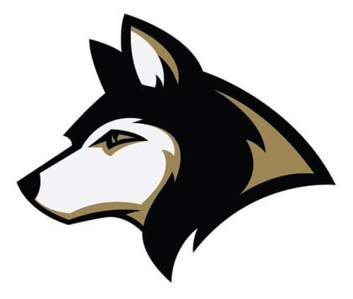 Andover Boys Volleyball logo
